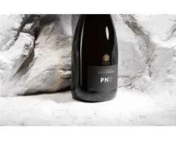 champagne PN VZ 15 en primeur disponiile da nov 20