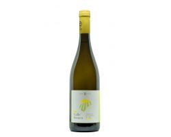 VERDICCHIO DEI CASTELLI DI JESI DOC SUPERIORE  \