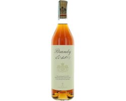 brandy antinori